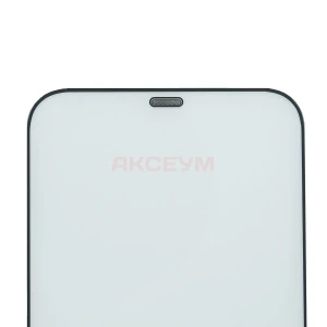 Защитное стекло для iPhone 12 Pro Max с сеткой динамика (черное)